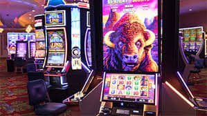 jeetbuzz app download apk